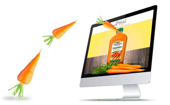 Diseñador de paginas web