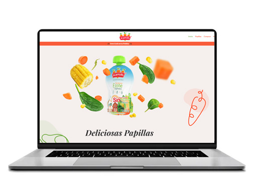 Diseño de paginas web en Guadalajara