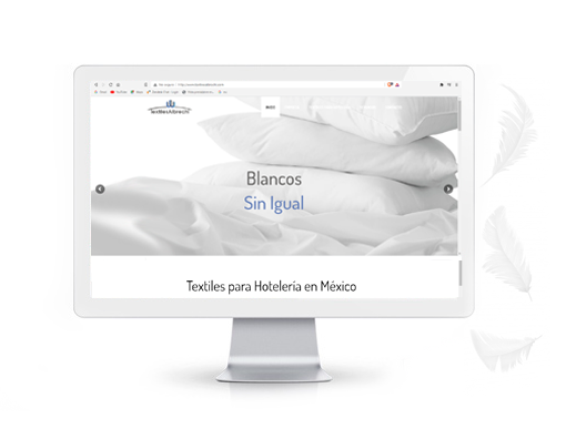 Diseño de paginas web en Puebla Mex
